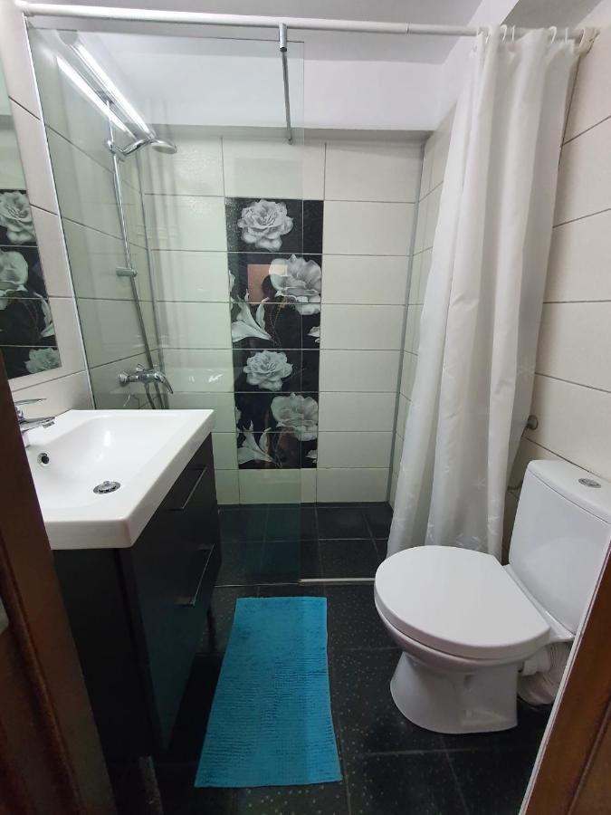 Bucharest Central Majestic Apartment Kültér fotó